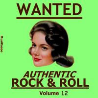 Wanted Authentic Rock & Roll