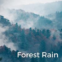 Forest Rain