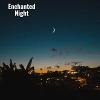 Enchanted Night