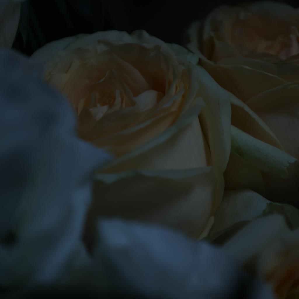 a major crush on you