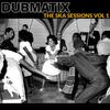 Dubmatix - Ska Selector (Stripped)