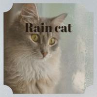 Rain Cat