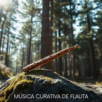 Música Curativa de Flauta