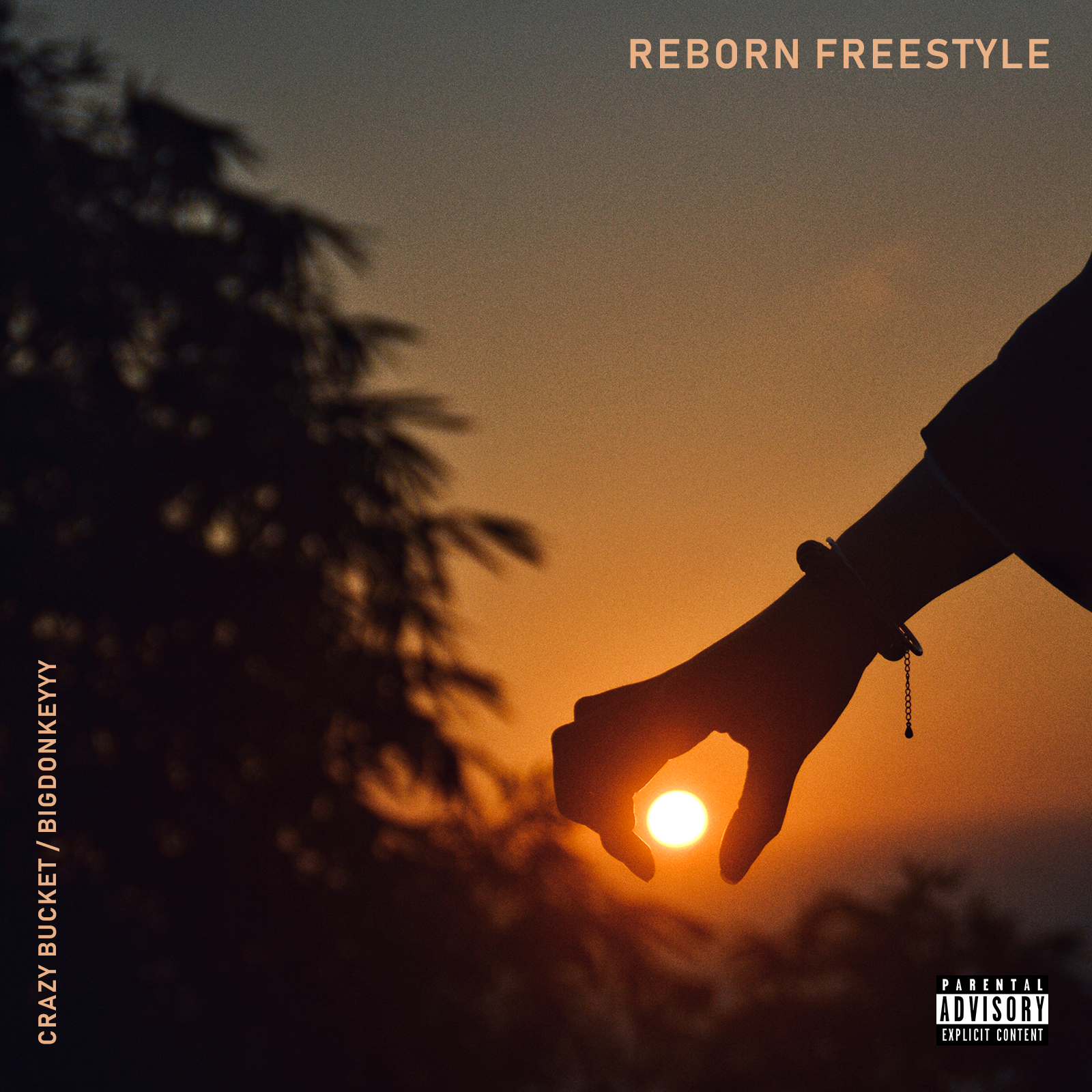 Reborn Freestyle_BIGDONKEY_Reborn Freestyle | 在线播放_Reborn Freestyle歌词_Reborn Freestyle下载 | 网易云音乐