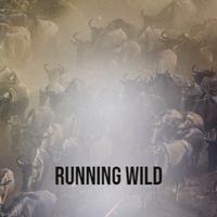 Running Wild