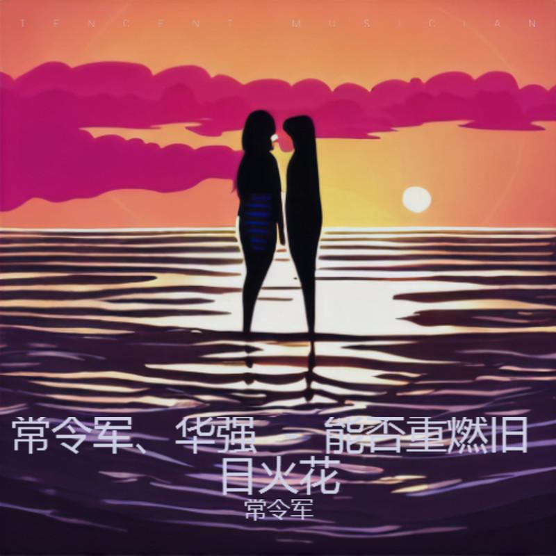 我辛勤持家的老婆 (岁月版)封面