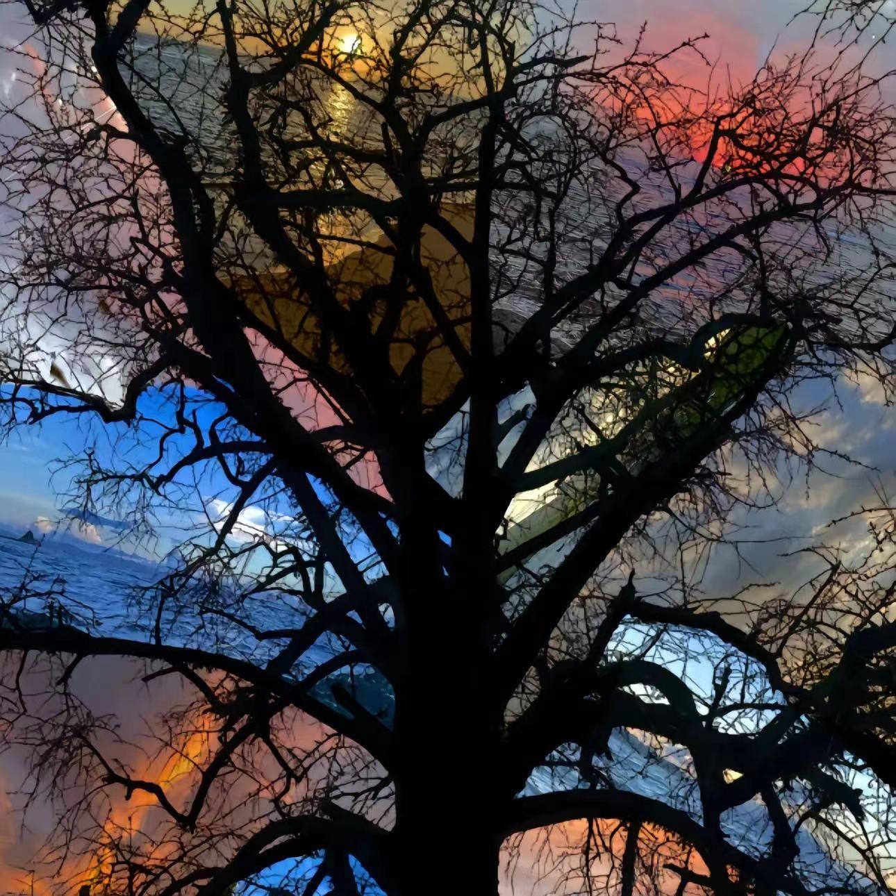 挥之不去的微笑