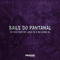 Baile do Pantanal