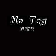 No_Tag自定义