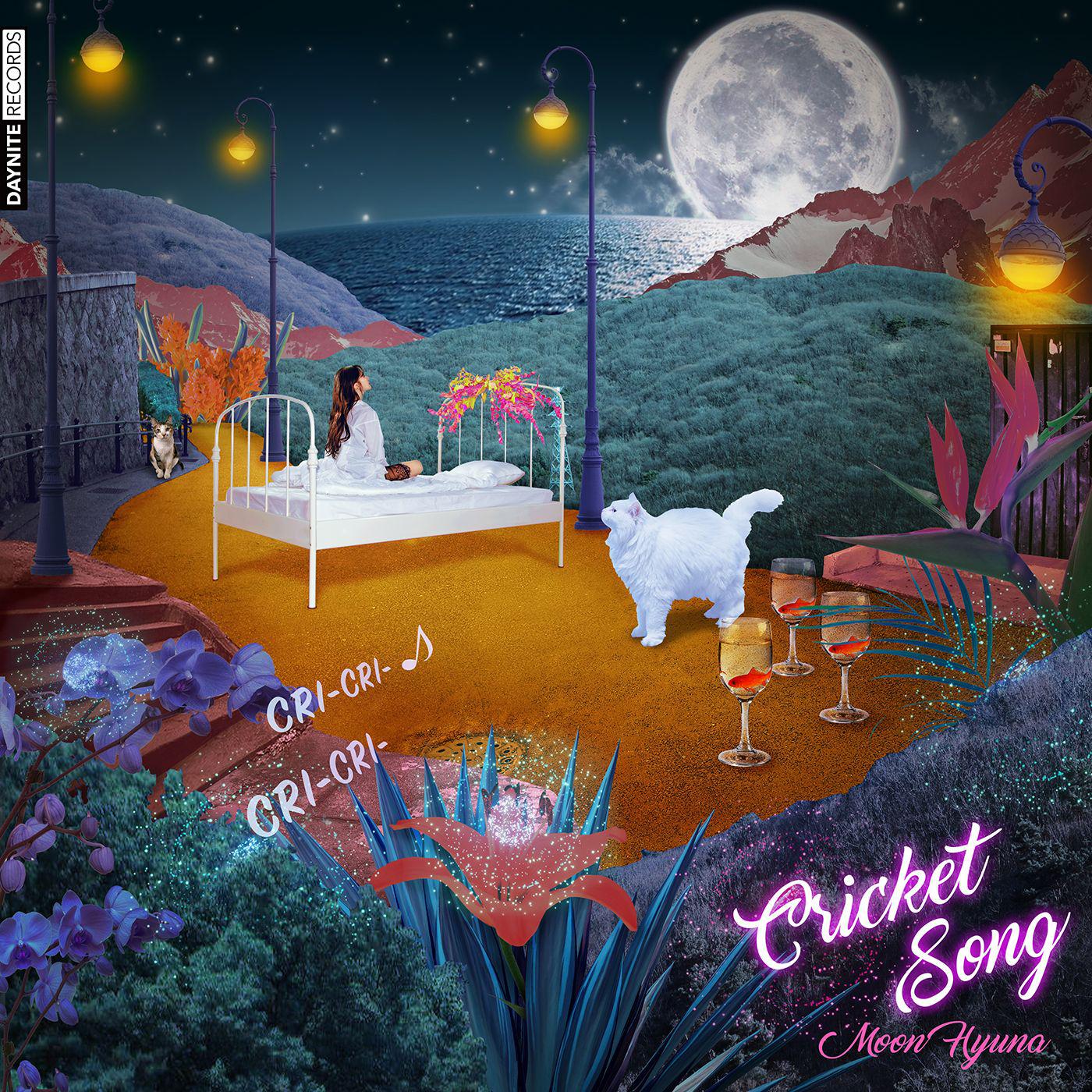 song-img
