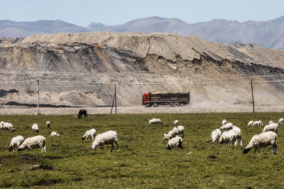 别让美丽大草原真成了记忆!战旗乐队新单曲带