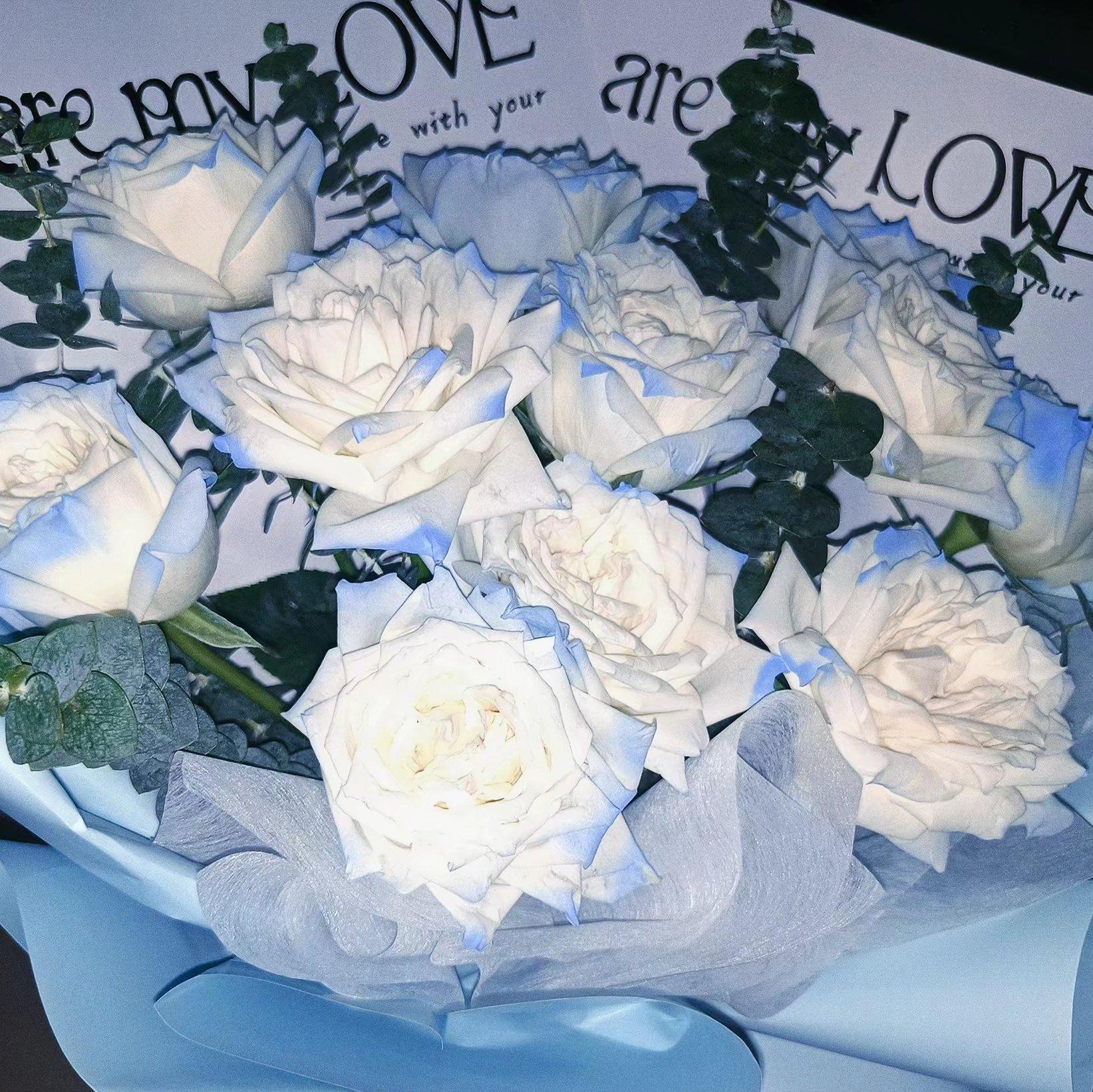 2024-Dive Into The Music