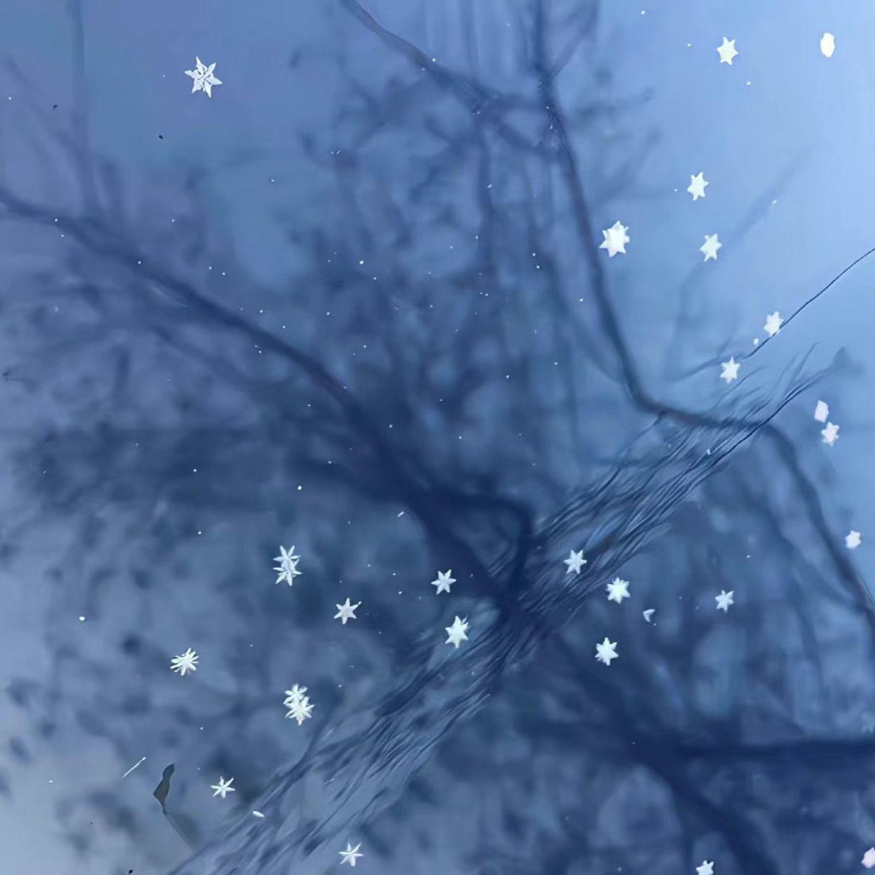 钢琴白噪音里的入眠之约