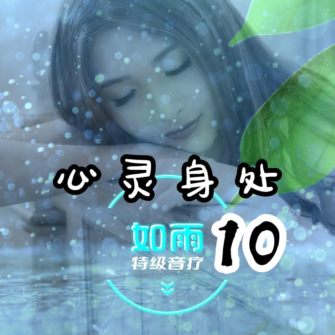 随梦而飞封面