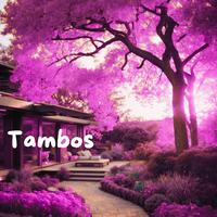 Tambos