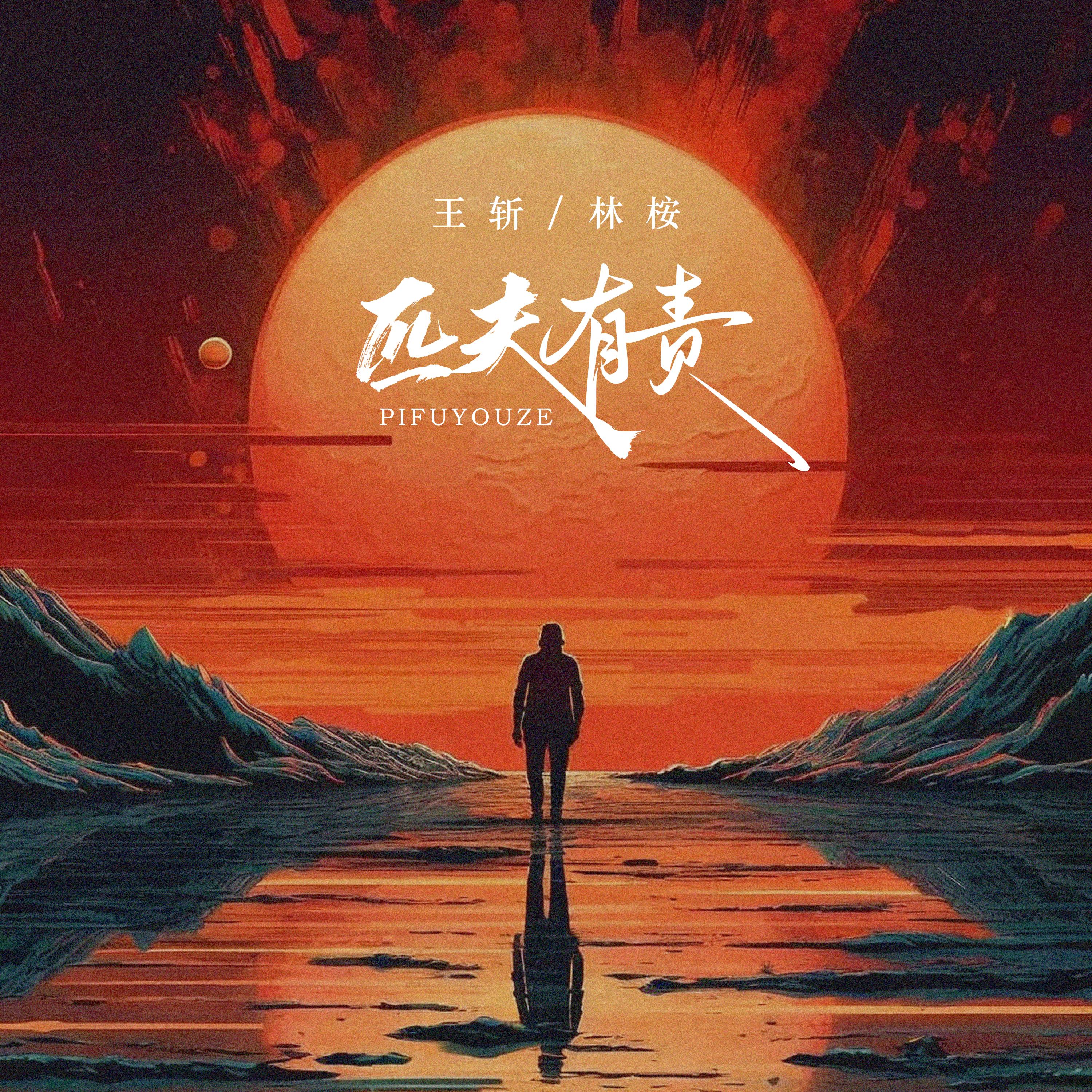 匹夫有责封面