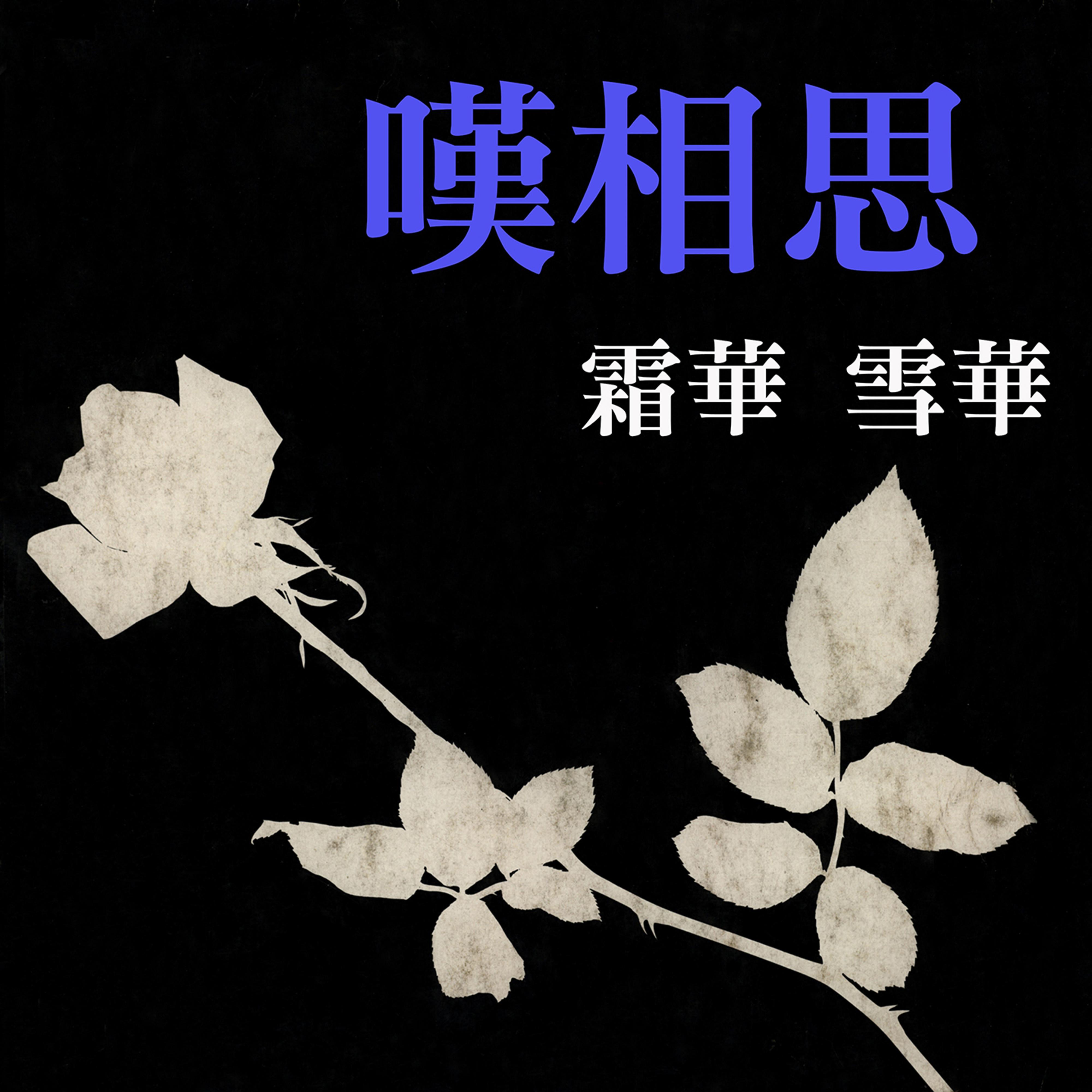 一片痴情封面