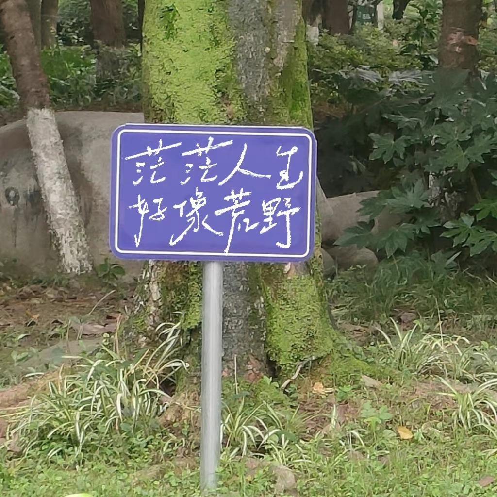 年年 - 我会认真上课d封面