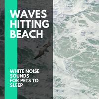 Waves Hitting Beach - White Noise Sounds for Pets to Sleep