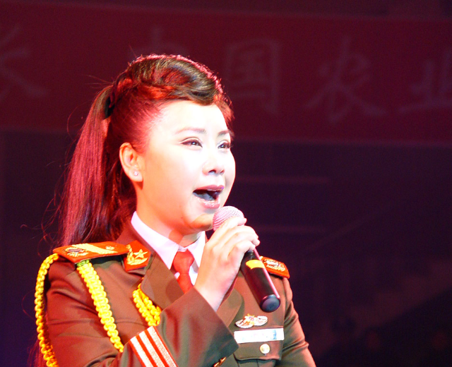 孙丽英