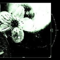 sore eyes (feat. ViolentValentinesDay)