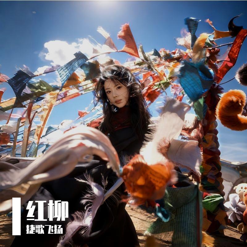 红柳 伴奏封面