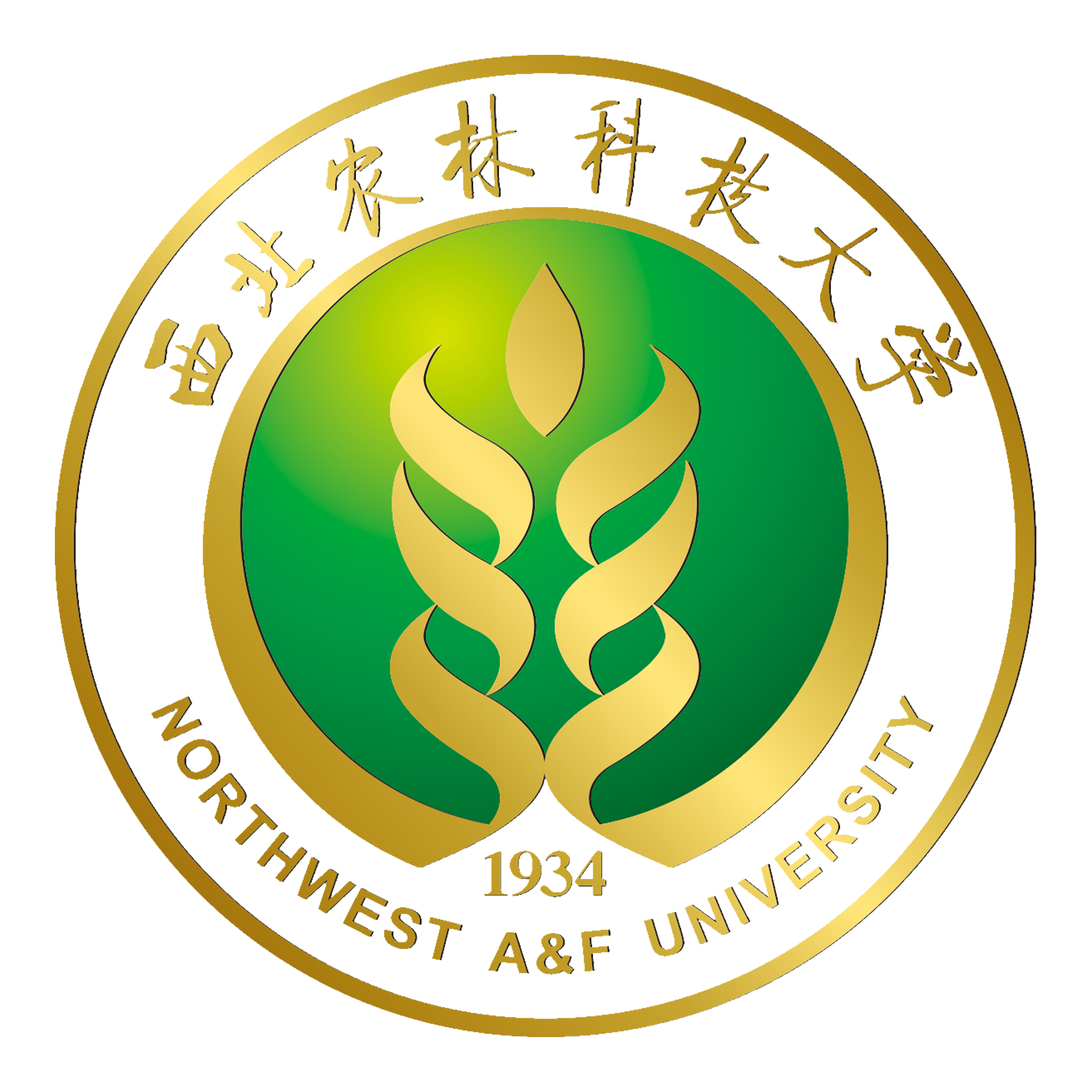 凤鸣高岗（西北农林科技大学老校歌）_闪光合唱团_国立西北农学院院歌 | 在线播放_凤鸣高岗（西北农林科技大学老校歌）歌词_凤鸣高岗（西北农林科技大学老校歌）下载 | 网易云音乐