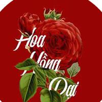HOA HỒNG DẠI MUSIC