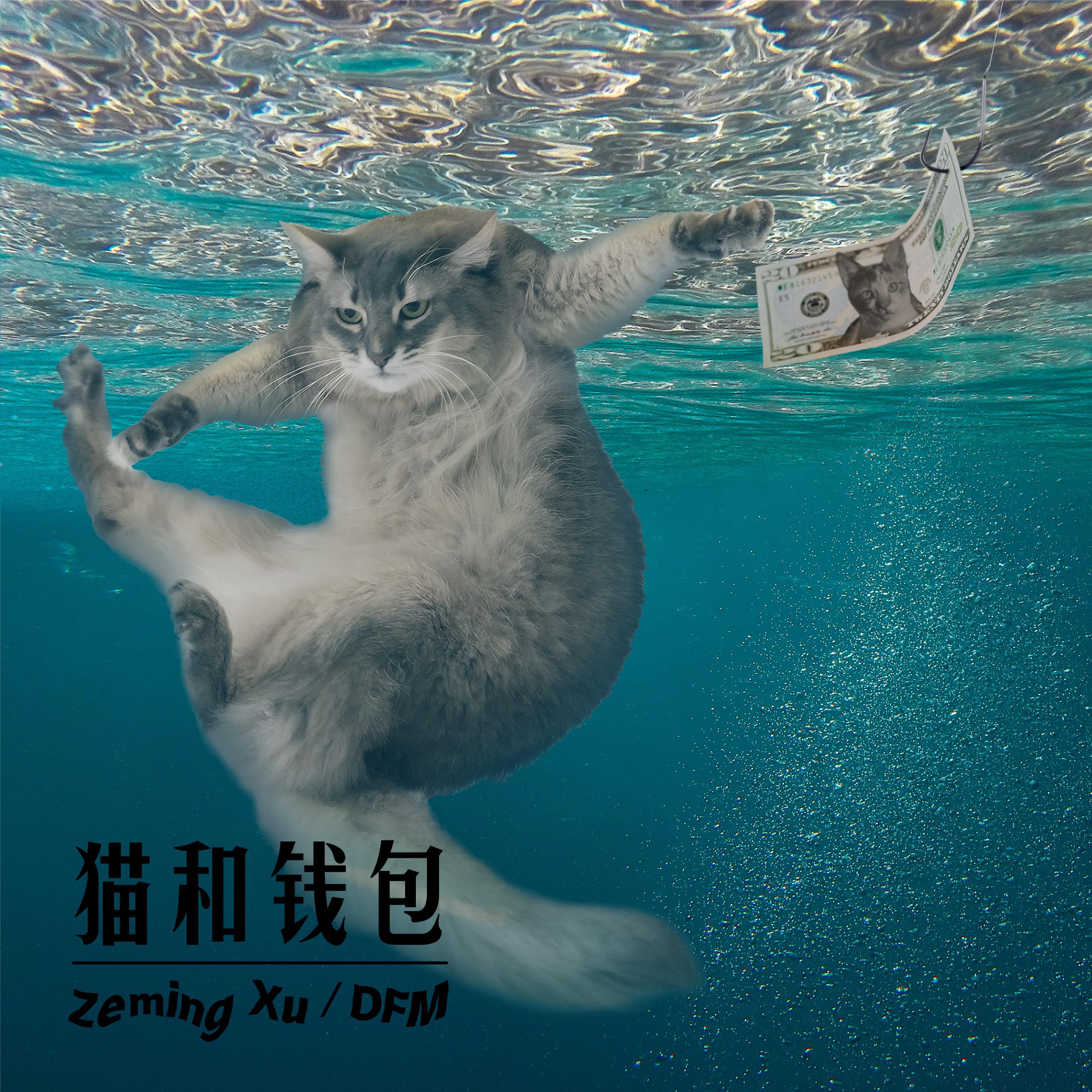 猫和钱包封面