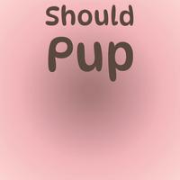 Should Pup