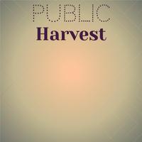 Public Harvest