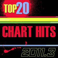 Top 20 Chart Hits USA_2011.2