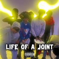 Life of a joint (feat. Day3)