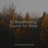 50 Breathtaking Sounds for Sleep