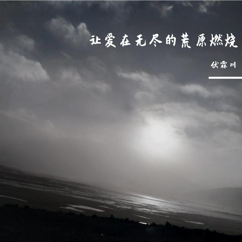 身在何处封面