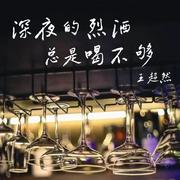 深夜的烈酒总是喝不够