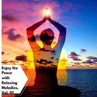 Enjoy The Peace With Relaxing Melodies, Vol. 01