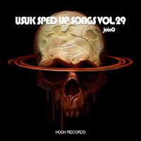 USUK SPED UP SONGS VOL.29