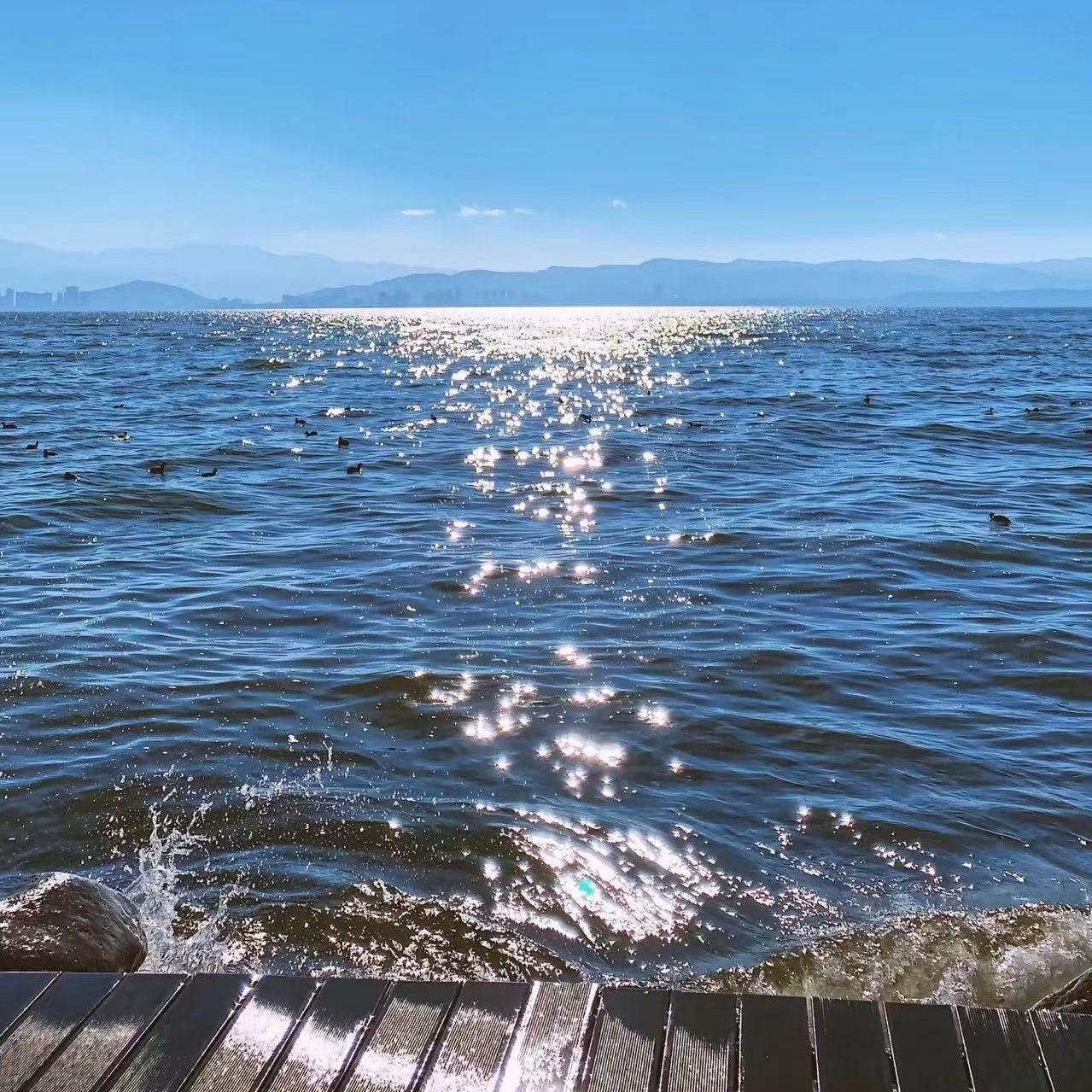 辞海 伴奏封面