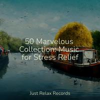 50 Marvelous Collection: Music for Stress Relief