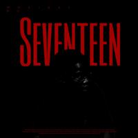 Seventeen (feat. T.Musician102)