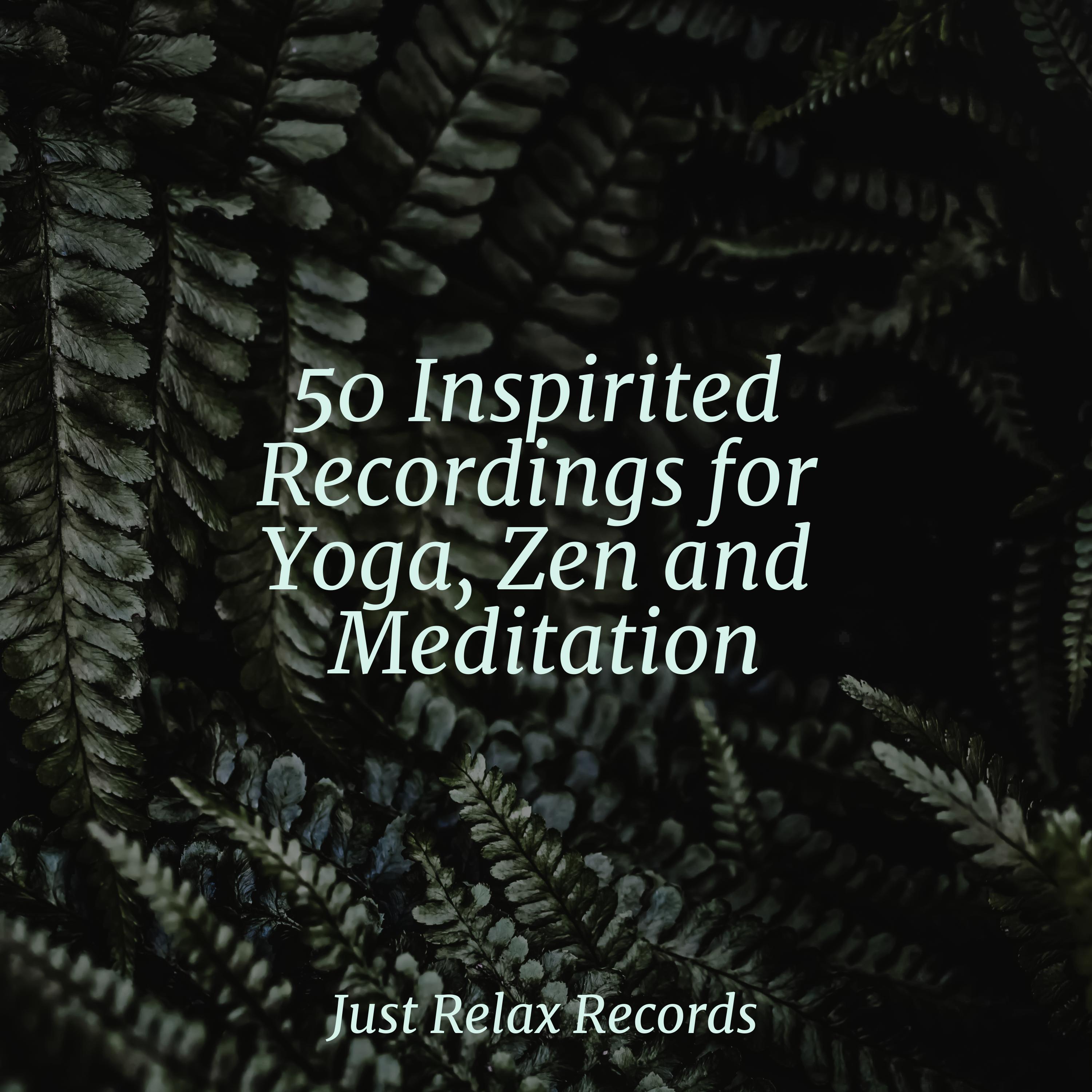 Chasing Colors in Dreams Reiki Tribe/Relajacion Del Mar/Deep Sleep Meditation 单曲 网易云音乐