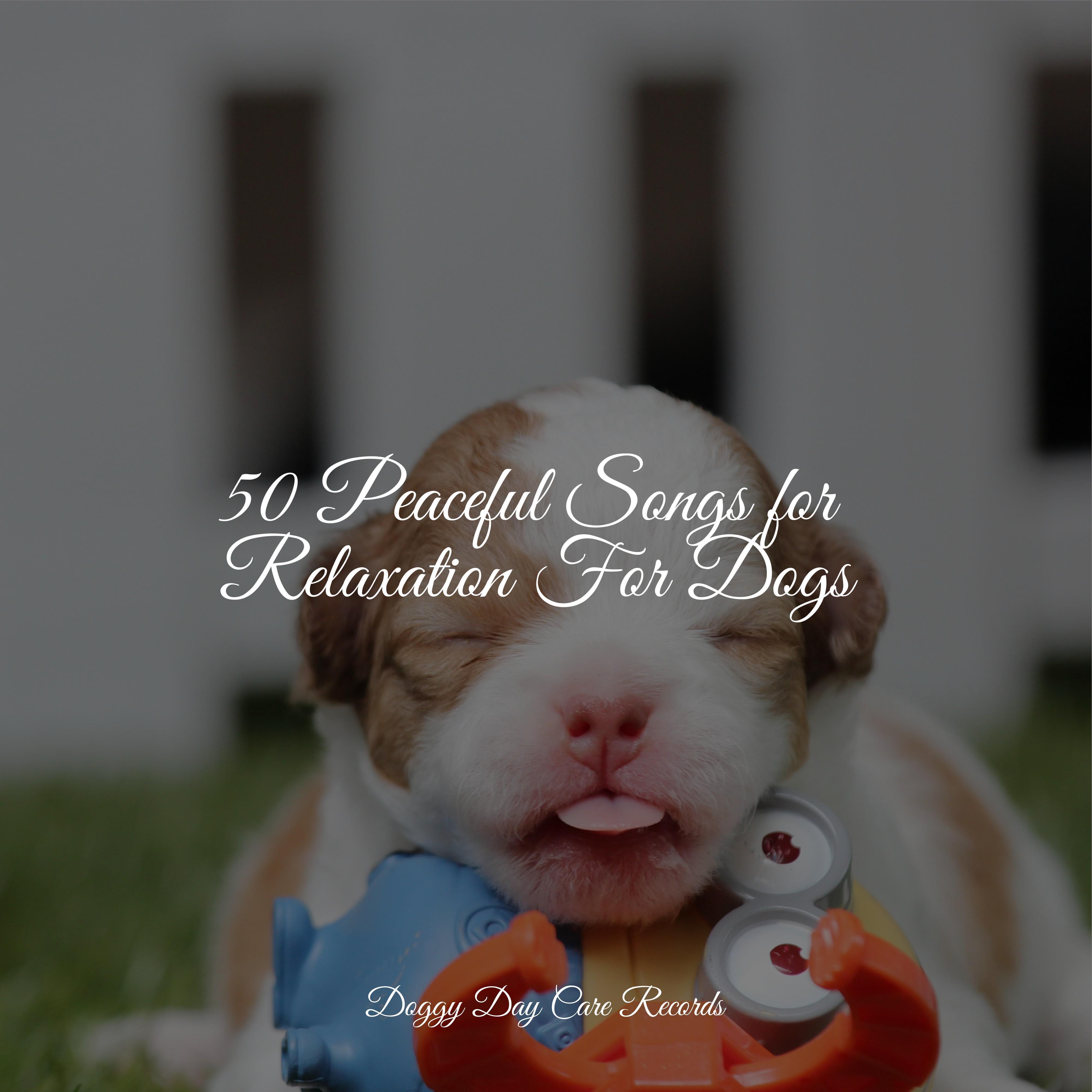 Image showcasing Calming New Age - Music for Calming Dogs/Jazz Music Therapy for Dogs ...
