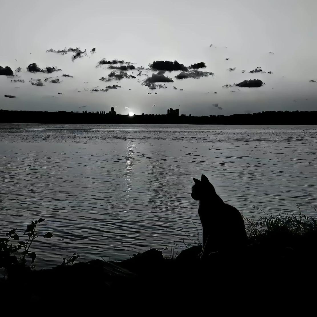 我知道我可以随时被代替