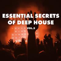 Essential Secrets of Deep House, Vol 5