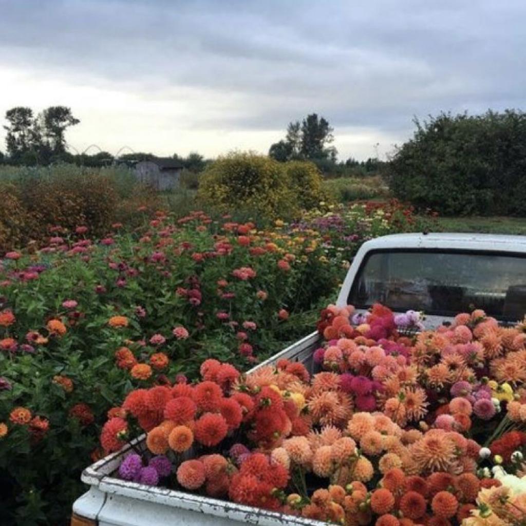 你真的懂唯一的定义