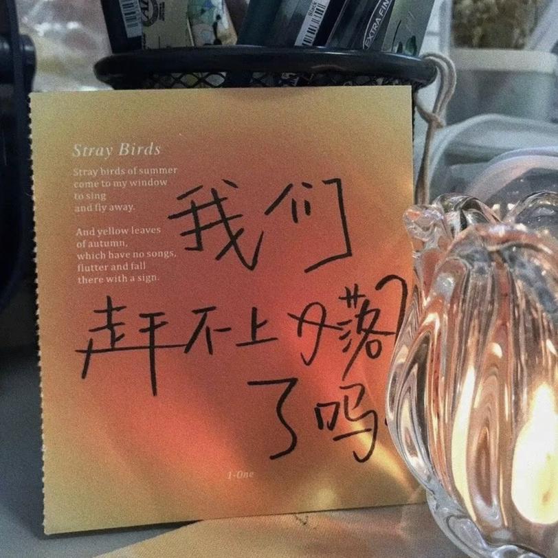 最后的句号封面