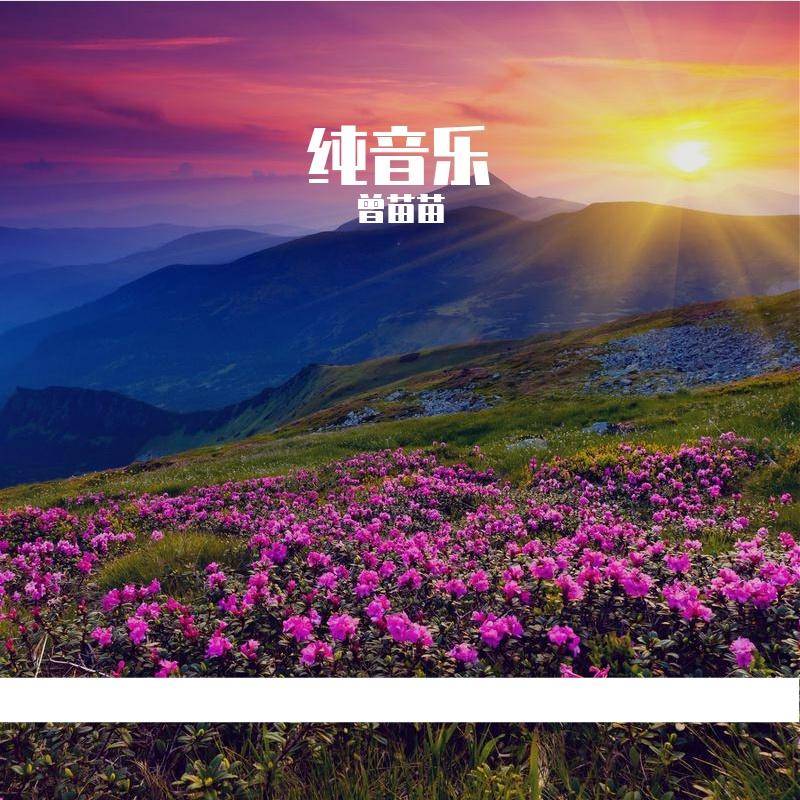 暴雨中封面