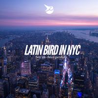 Latin Bird in NYC