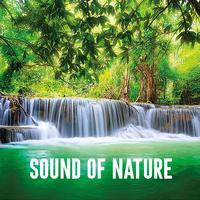 Sound of Nature